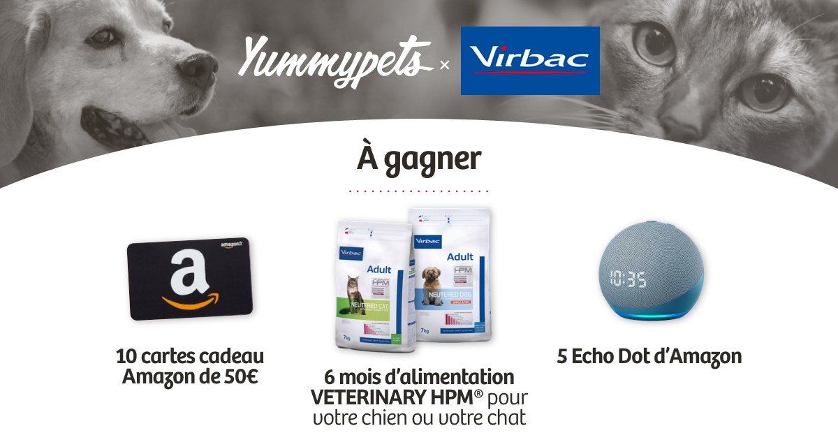 Yummypets & Virbac VETERINARY HPM Concours