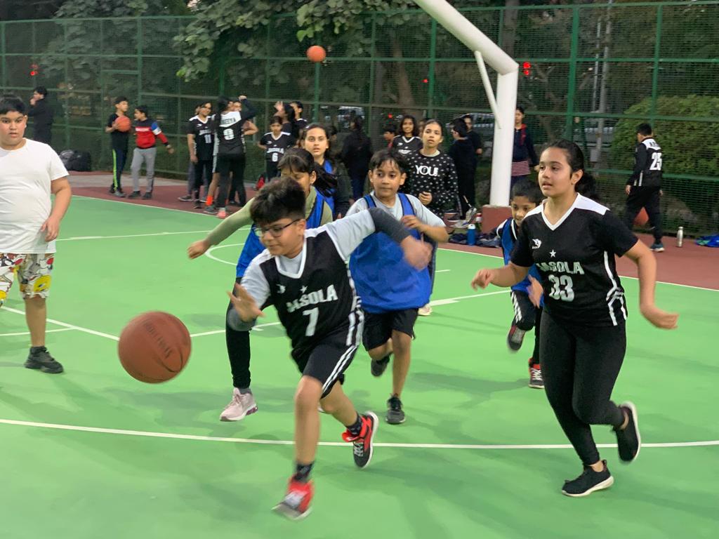 Netaji Subhash Sports Complex, Jasola DDA