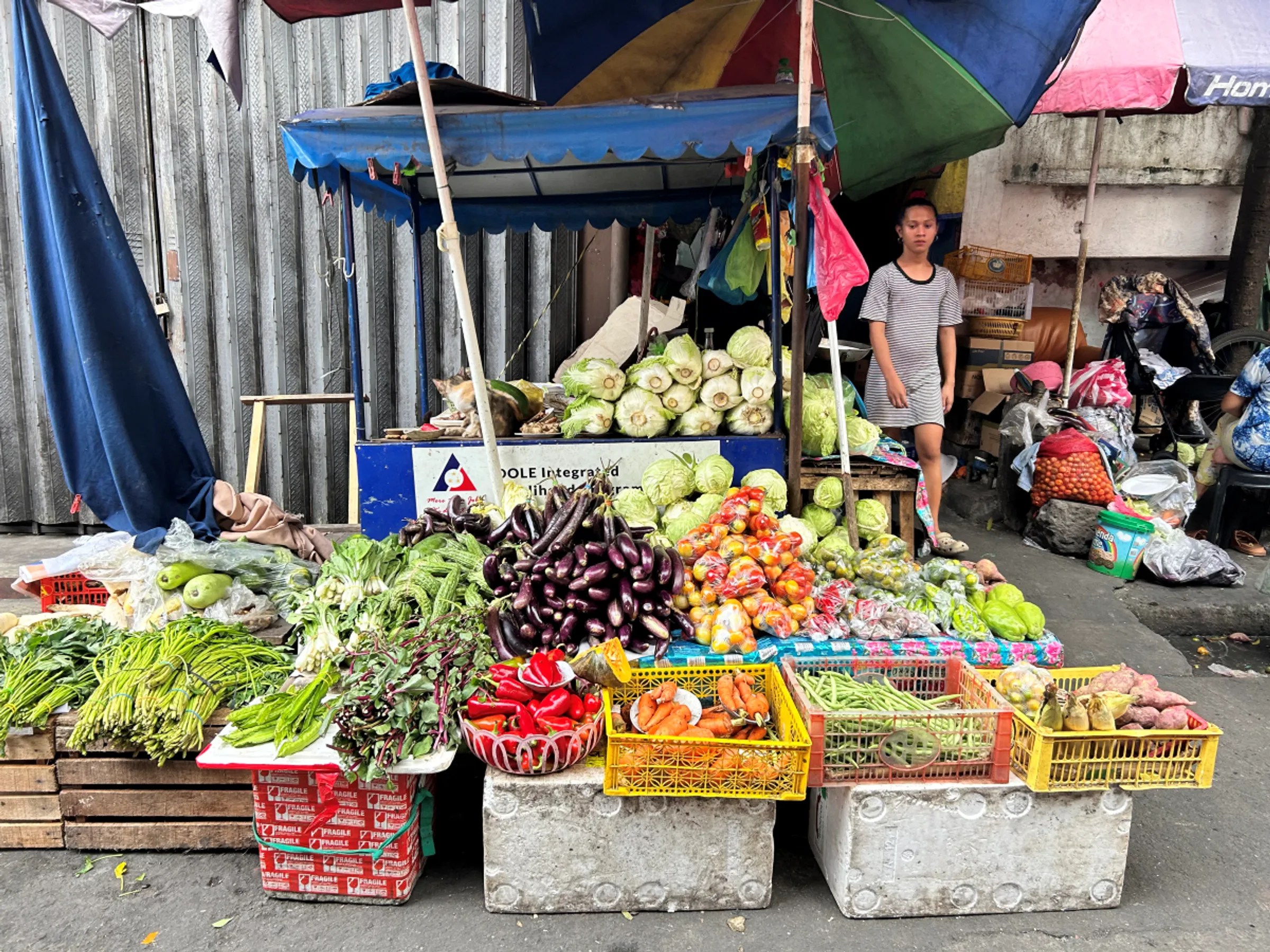 Philippines bets on food vouchers to stamp out hunger Context