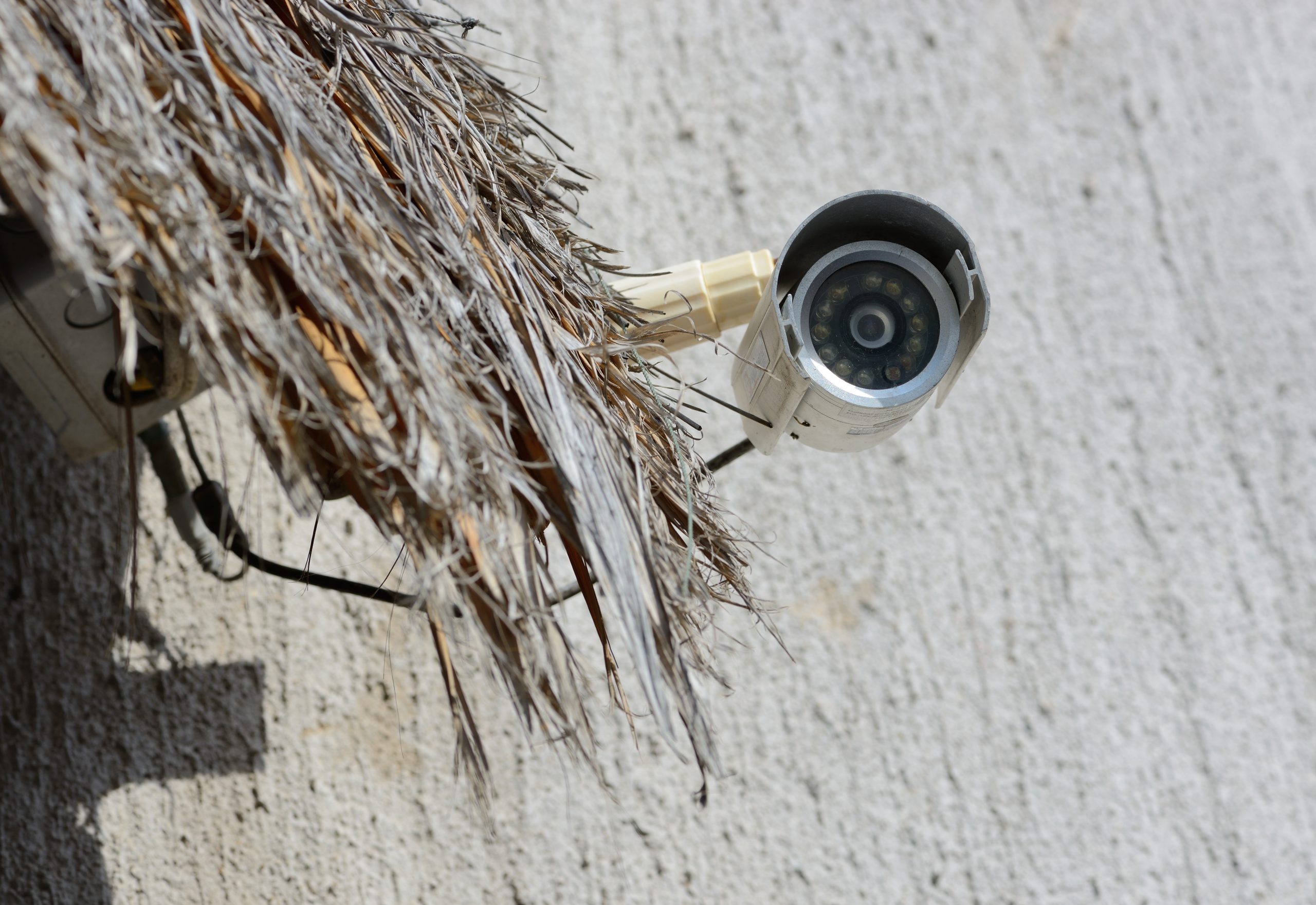 5 Of The Best Cellular Security Camera (2023 Reviewed)