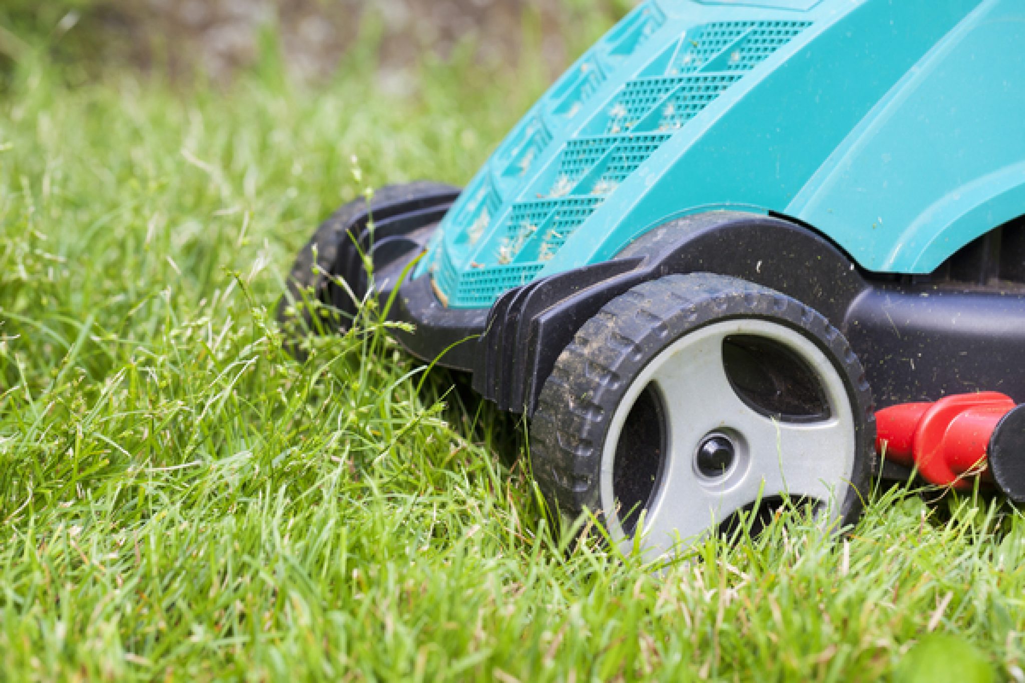 Can I use 10W40 Oil in my Lawn Mower? (The Truth About It)