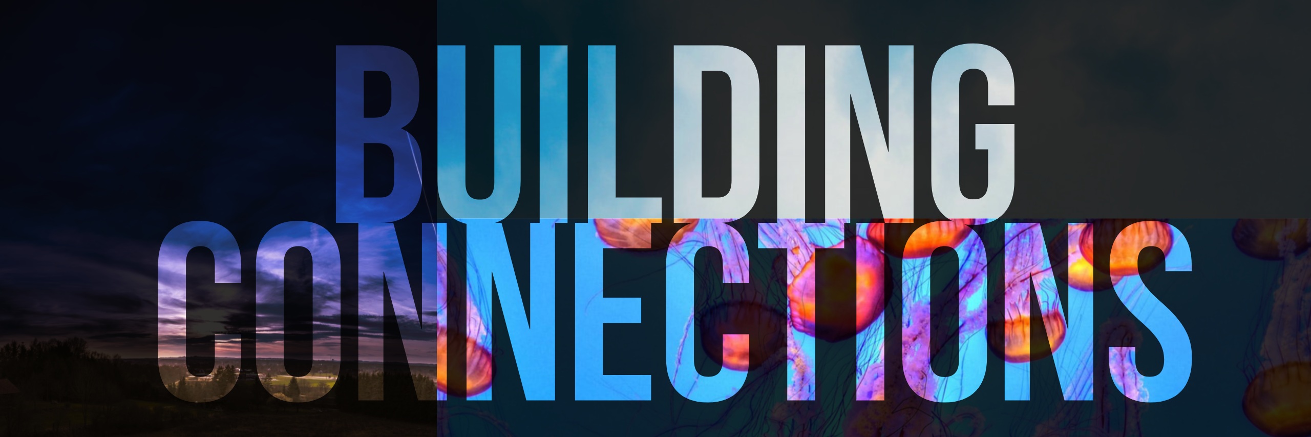 About The Network DDCSP Alumni Network