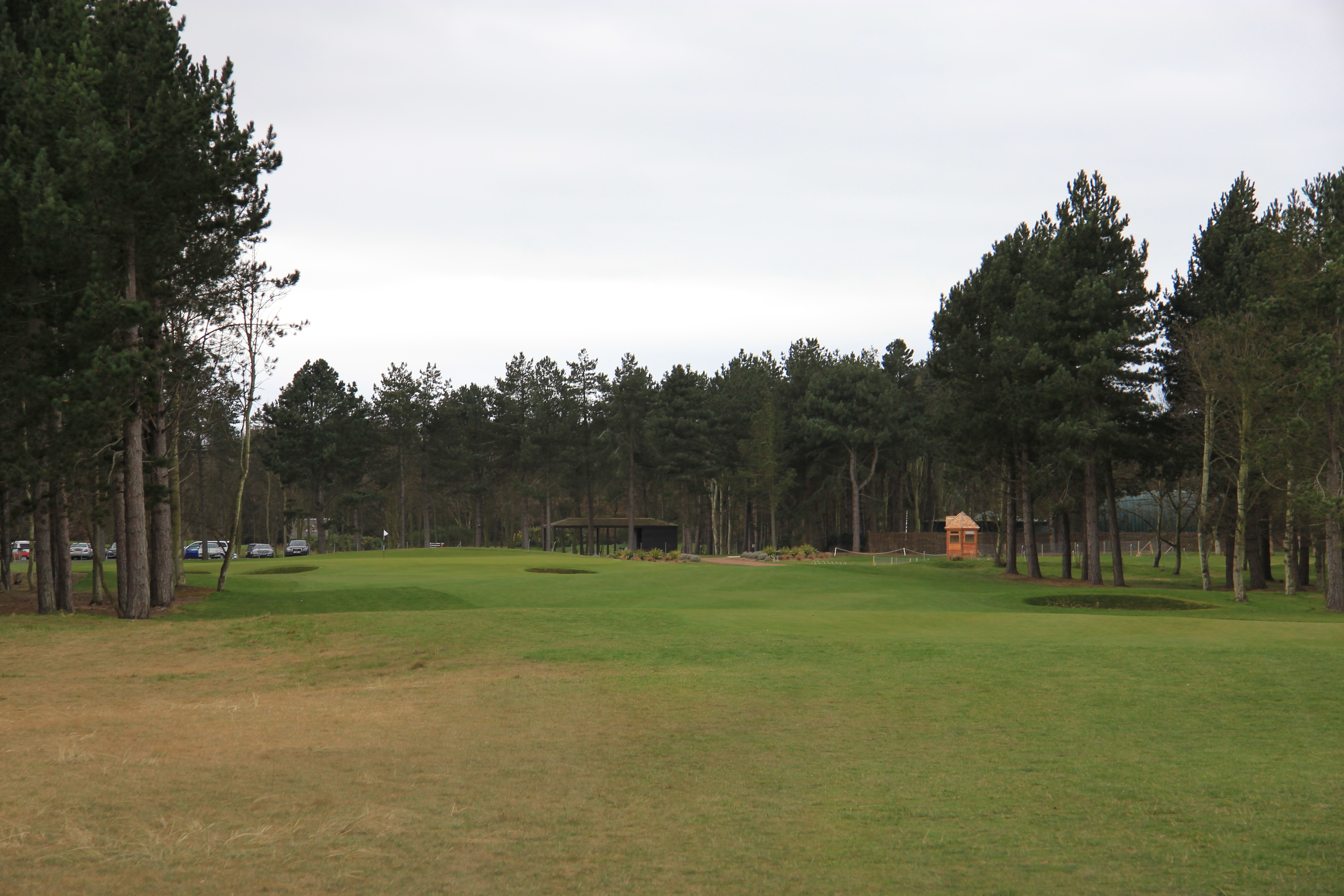 Archerfield Links Review Graylyn Loomis