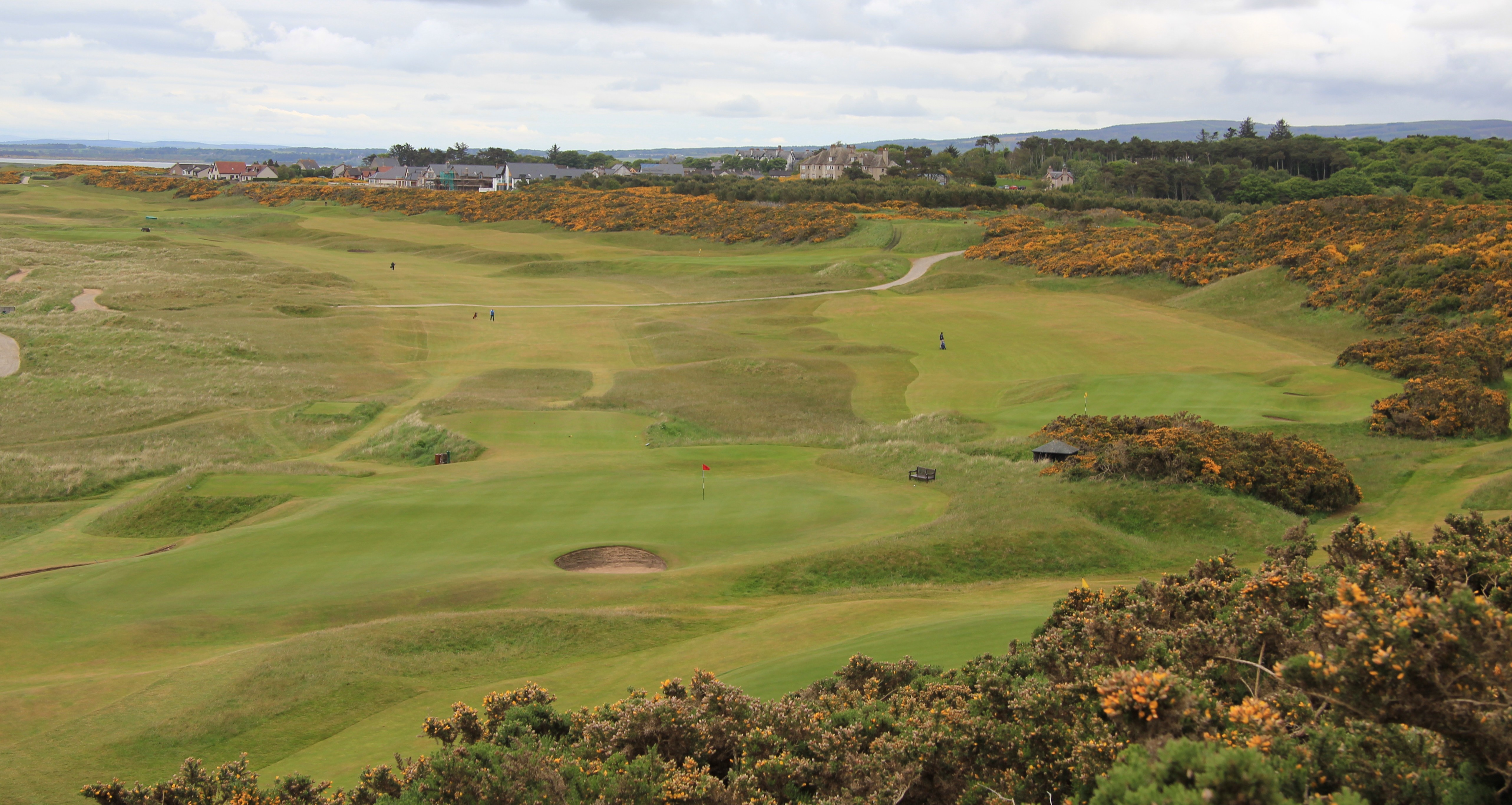Royal Dornoch Review Graylyn Loomis