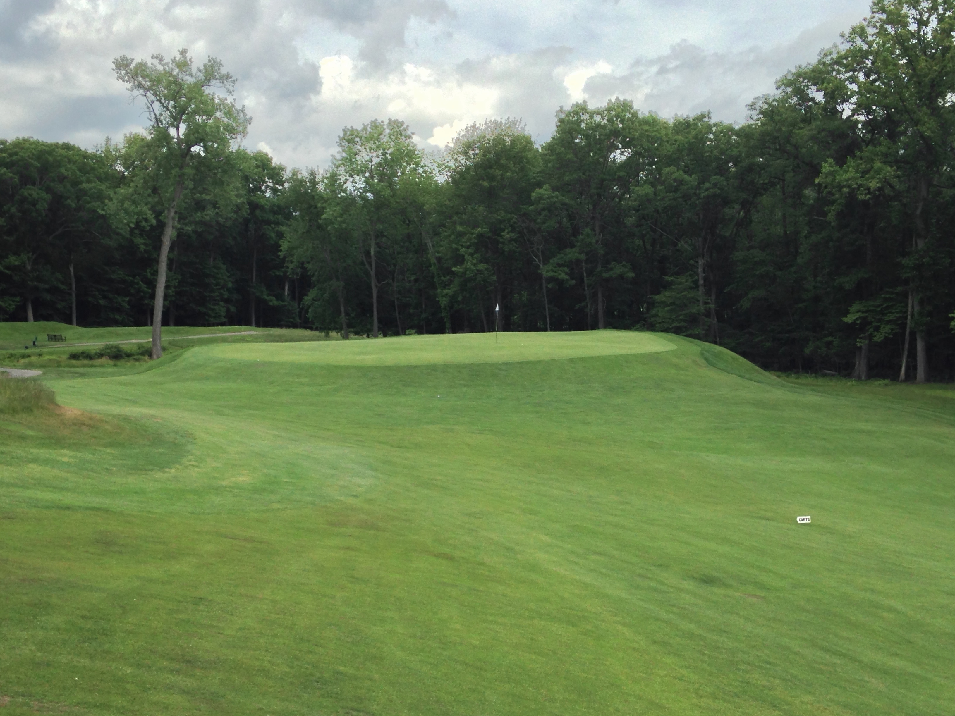 Yale University Golf Course Review Graylyn Loomis