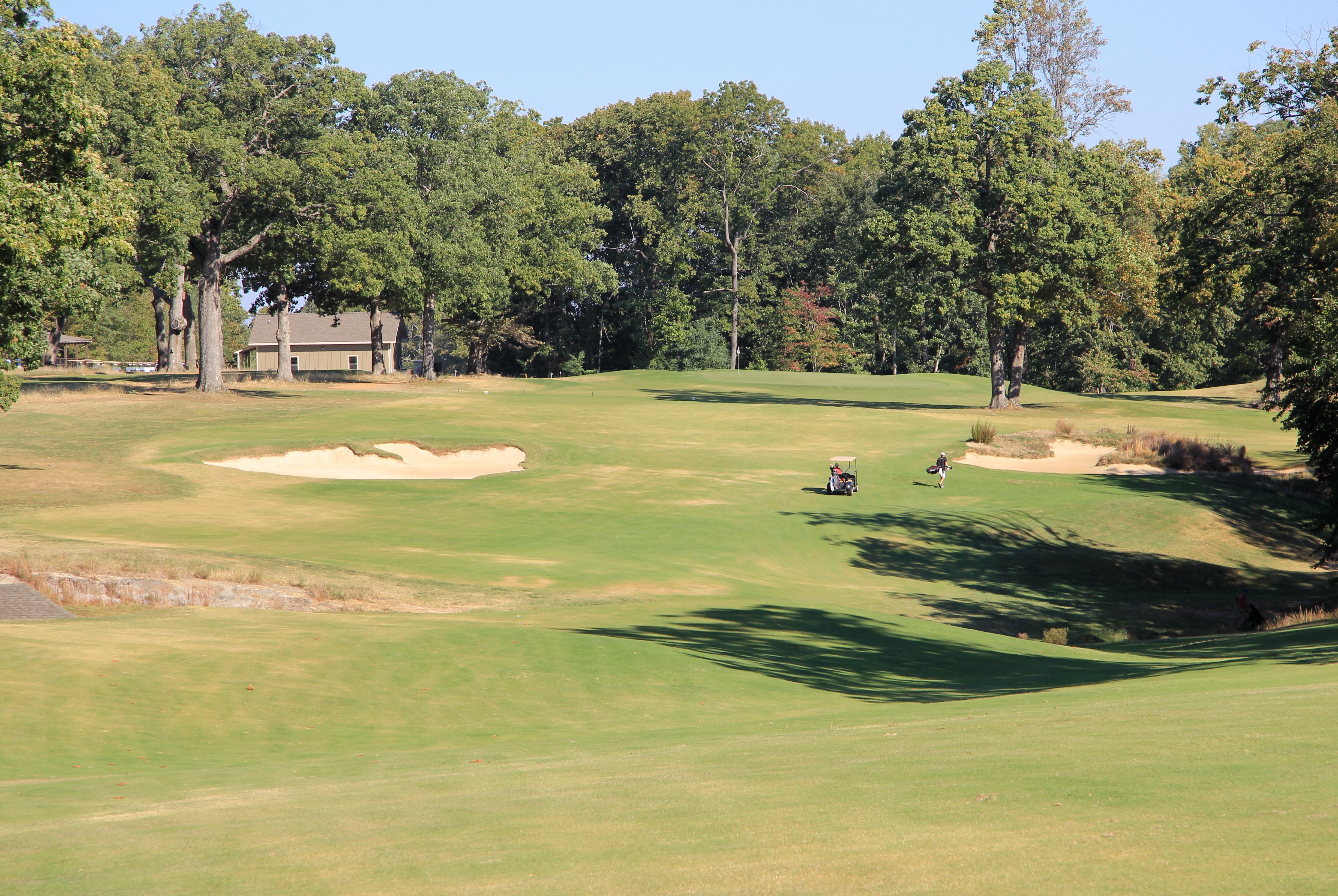 The Course at Sewanee Review Graylyn Loomis