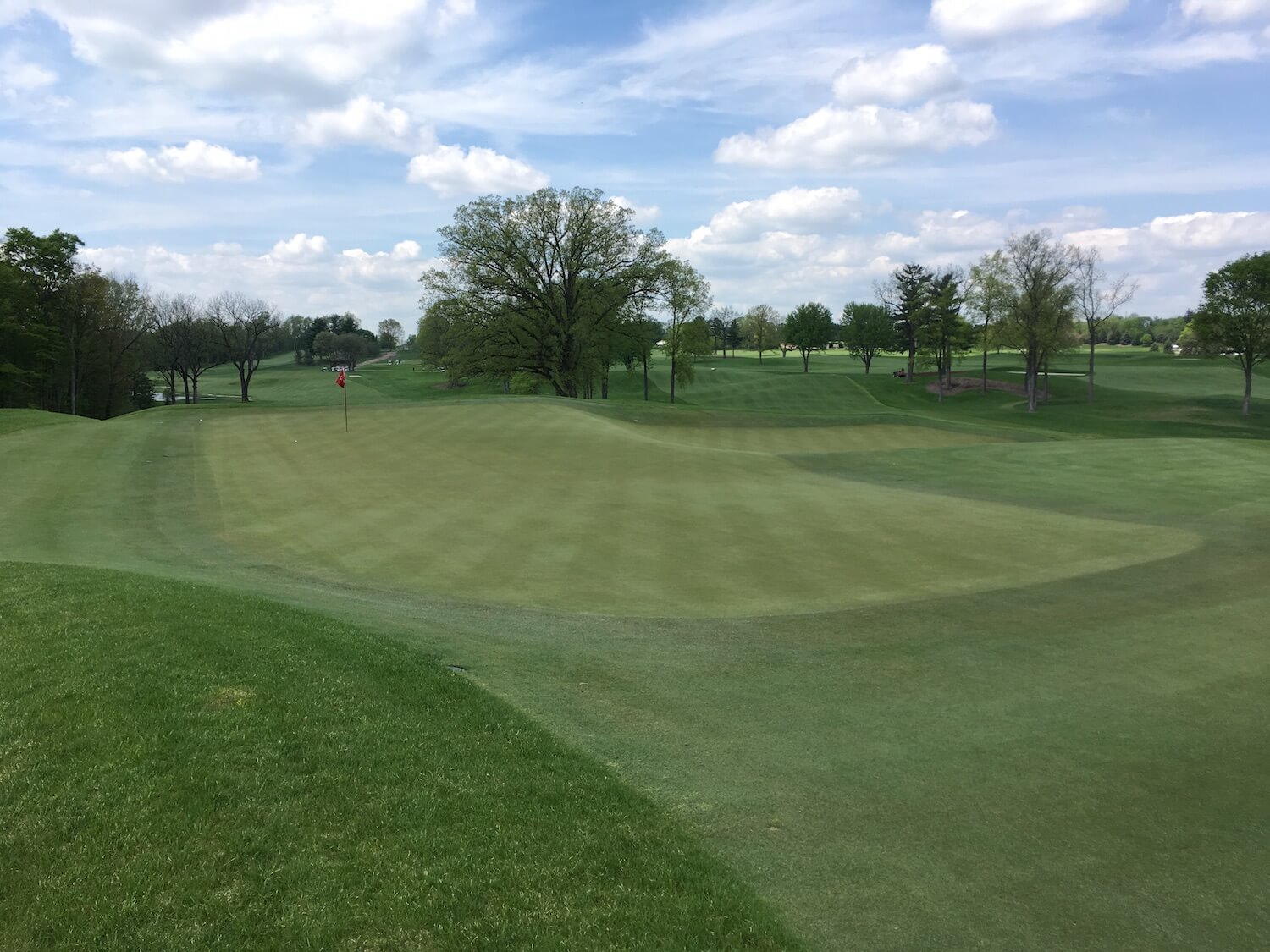 Meadowbrook Country Club Review Graylyn Loomis