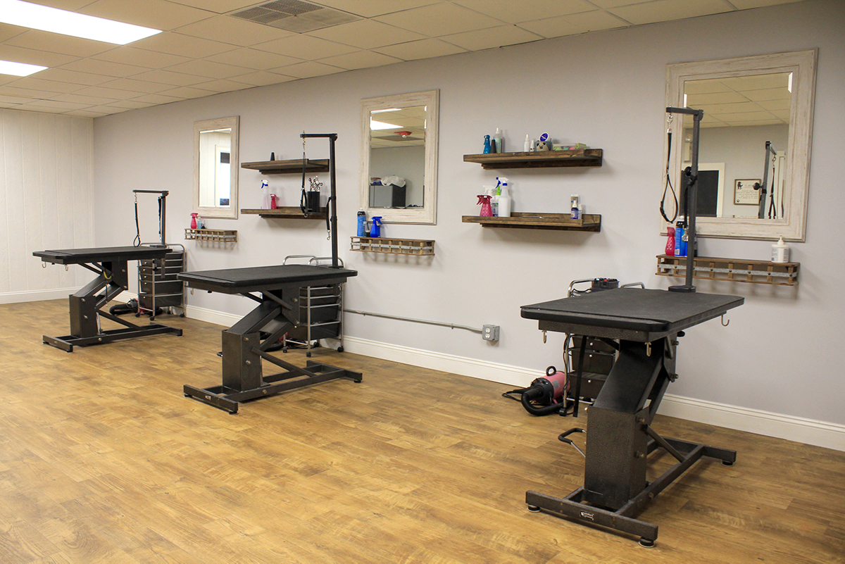 About Downtown Dog Grooming Downtown Dog Grooming