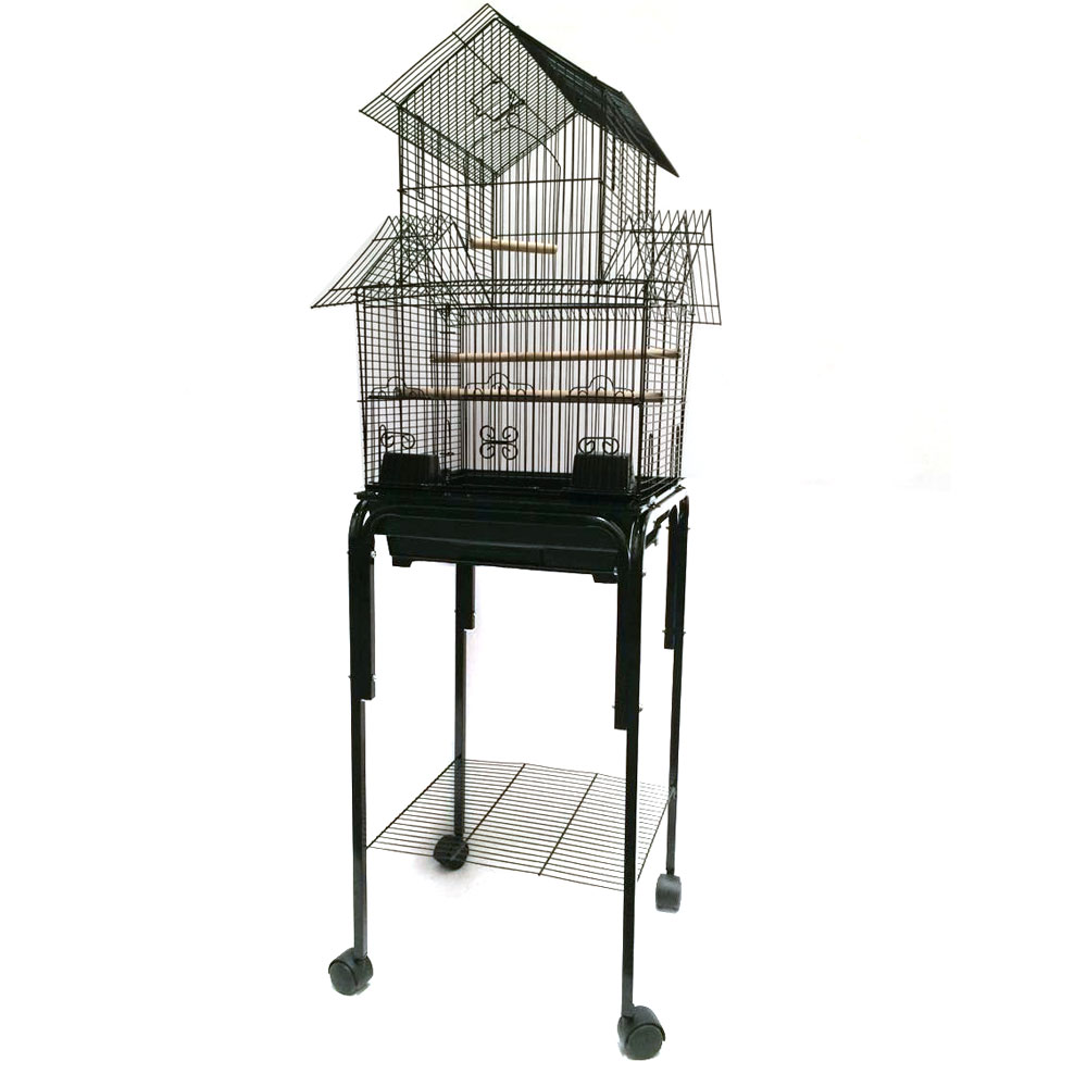 Best Bird Cage For Lovebirds