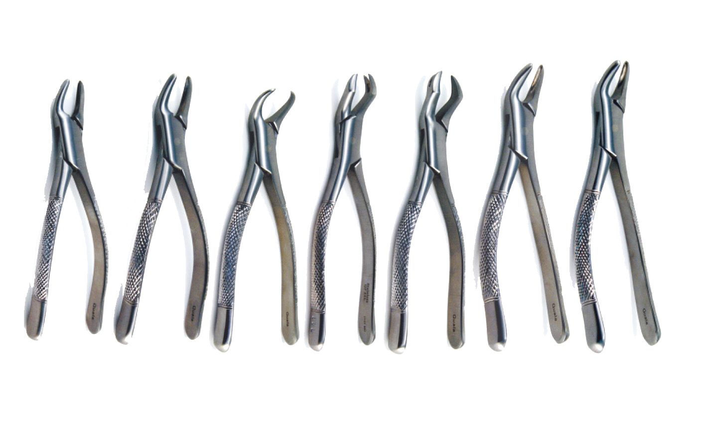 FORCEPS ACERO INOX. 151 S DDN ARTICULOS DENTALES DEL NORTE Equipo