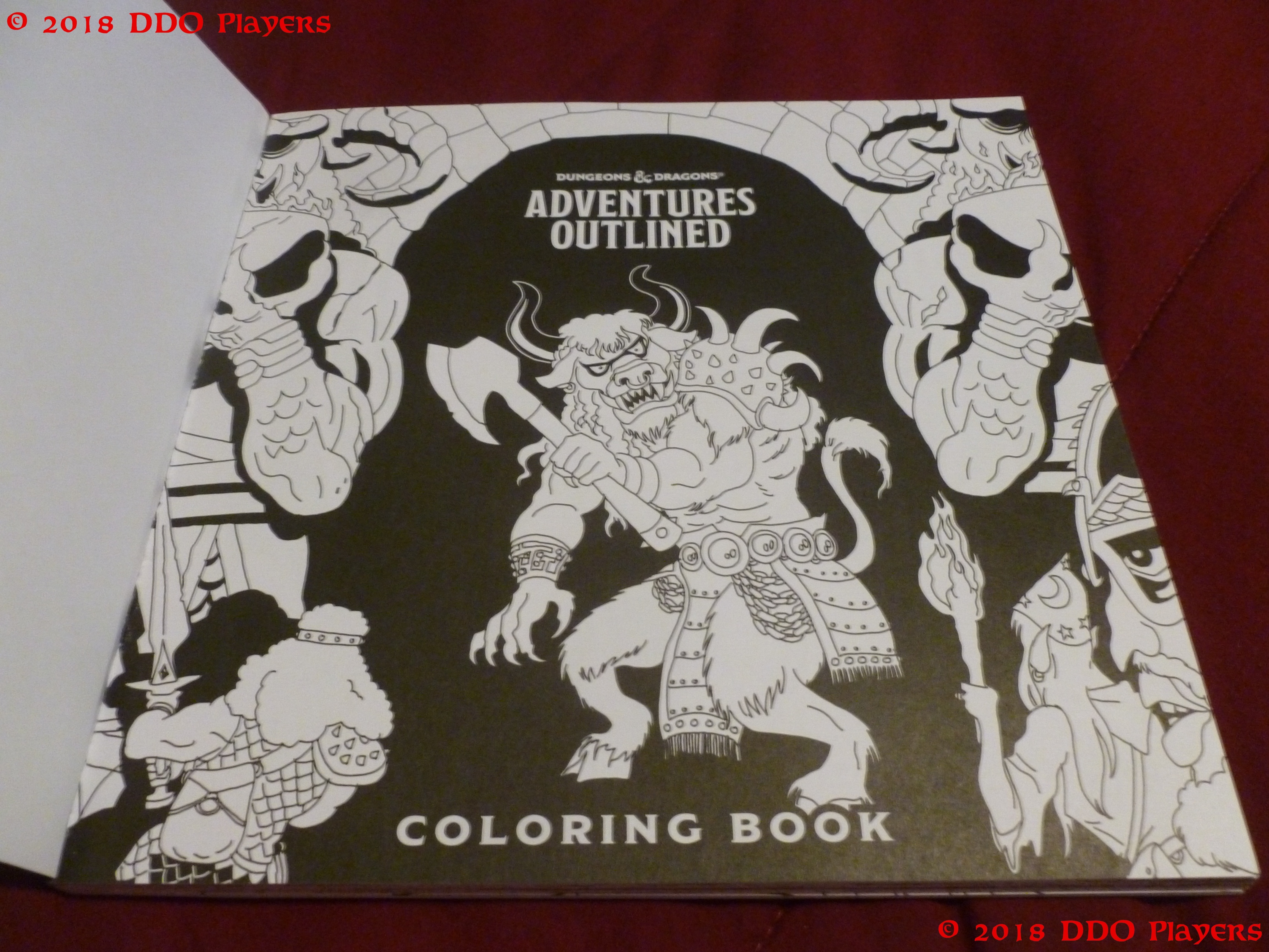 Dungeons & Dragons Adventures Outlined Coloring Book Review DDO Players