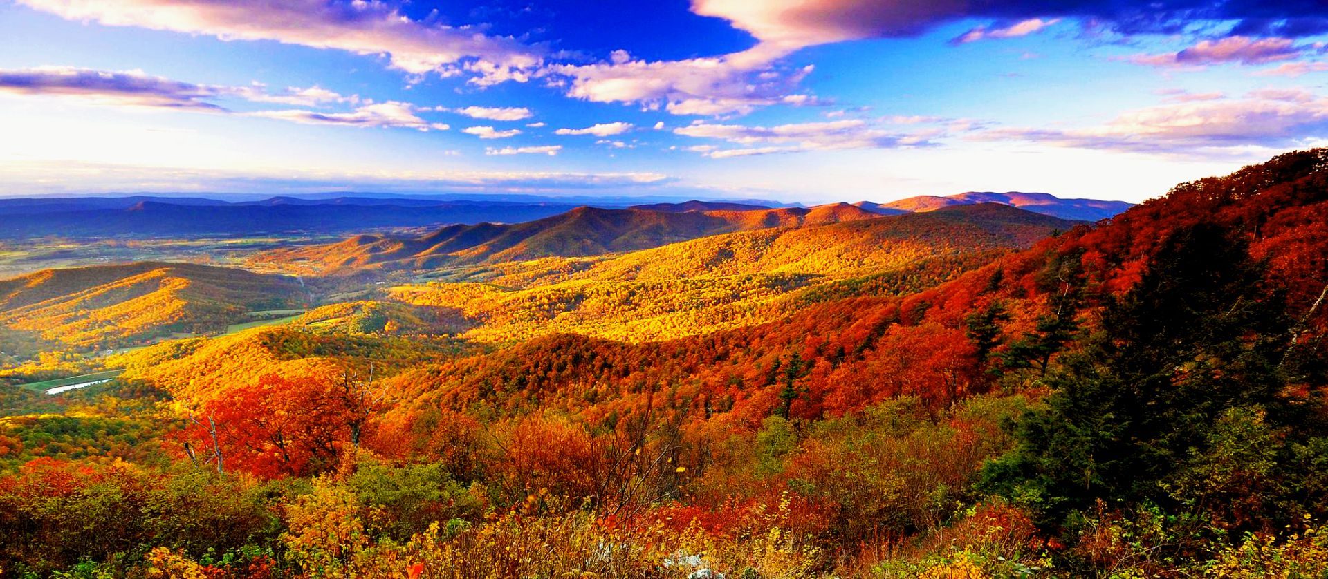 UPSTATE NY Highquality General Dental Practice for Sale DDSmatch