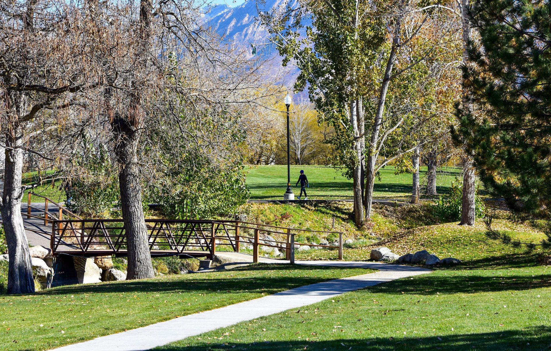 Oral Surgeon Office For Sale or Lease