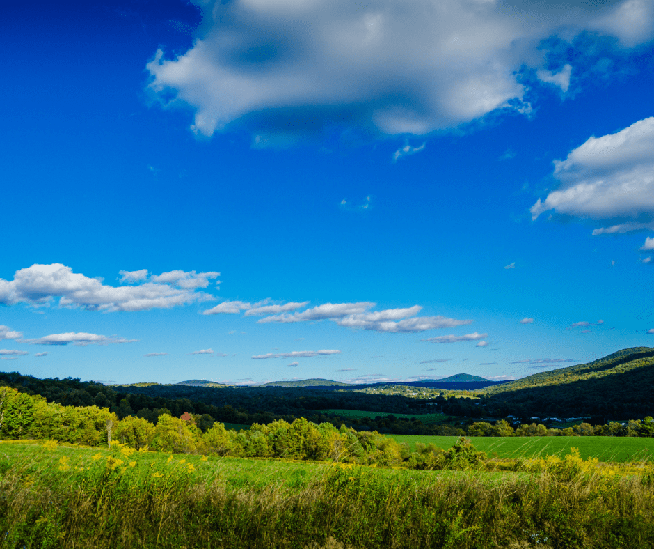 UPSTATE NY Highquality General Dental Practice for Sale DDSmatch