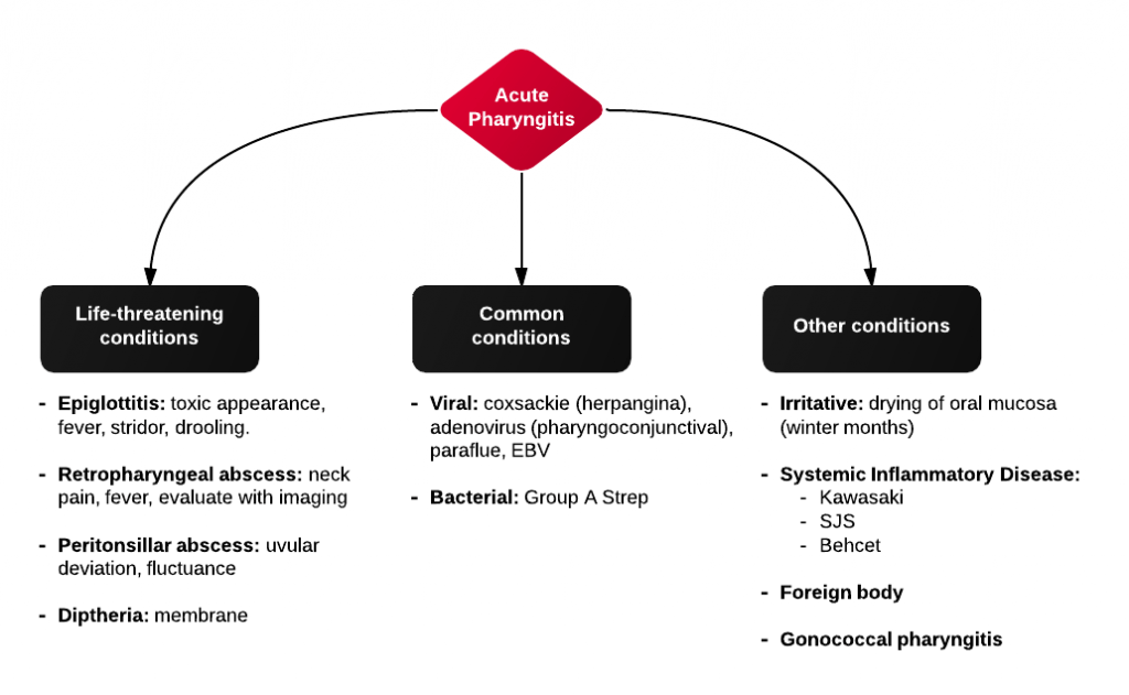 Differential Diagnosis of Sore Throat