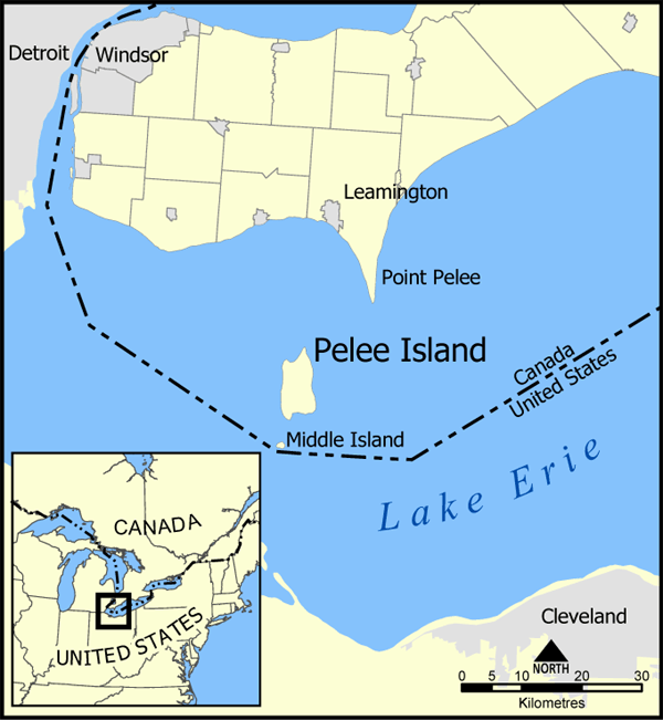 Middle Island (Ontario)