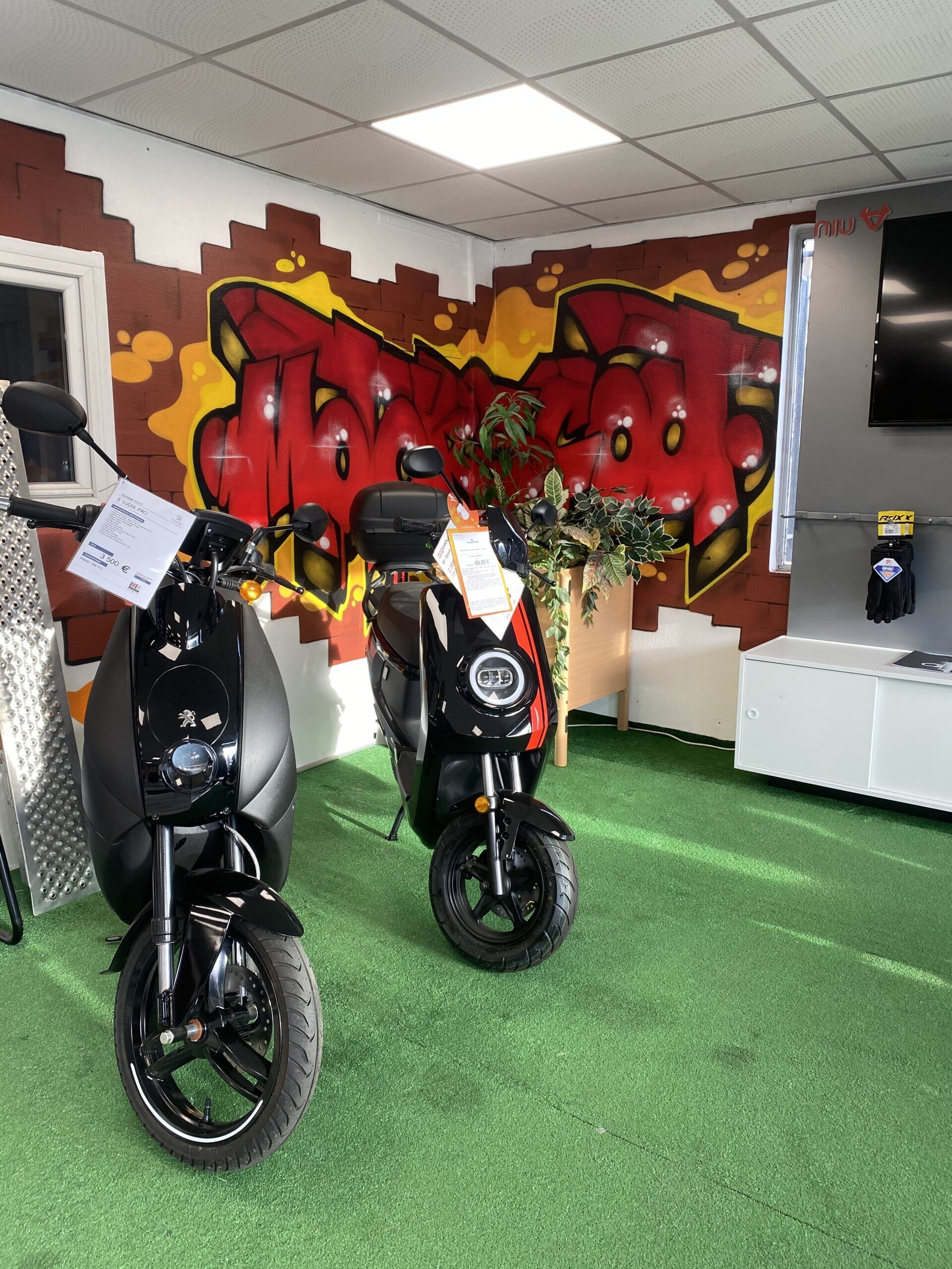 Découvrez en photos nos véhicules neufs et d'occasion à Dijon