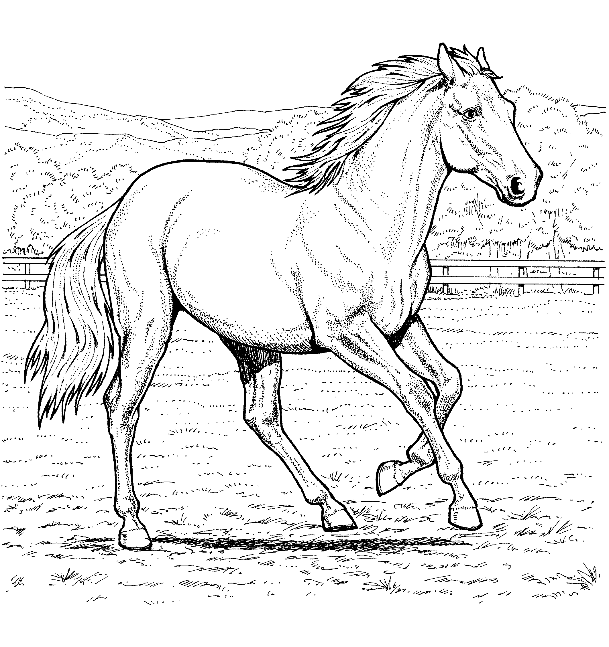 Malvorlagen Pferd auf einem Bauernhof