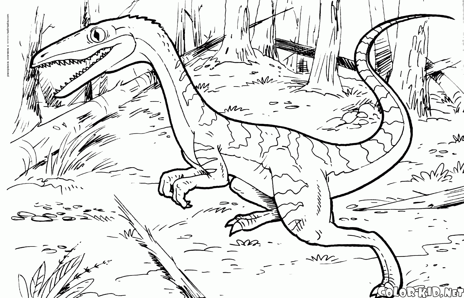 Jetzt möchte ich meine erfahrungen mit ihren kindern teilen. Malvorlagen - Dinosaurier