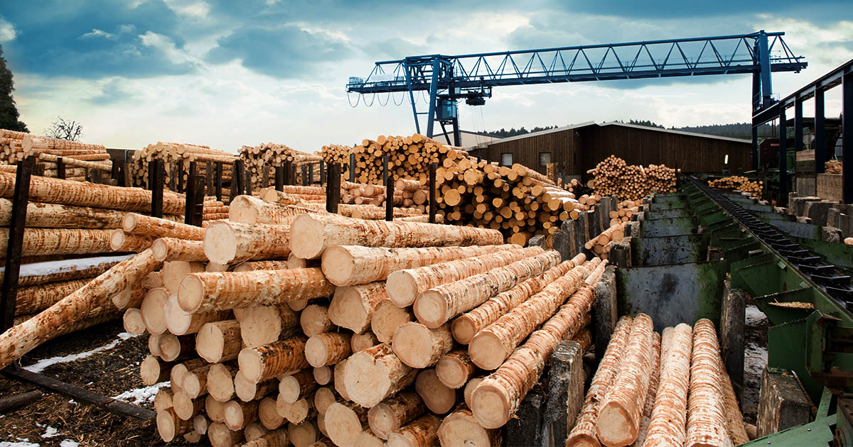 Timber & Forestry ETF Welcher ist der Beste? extraETF