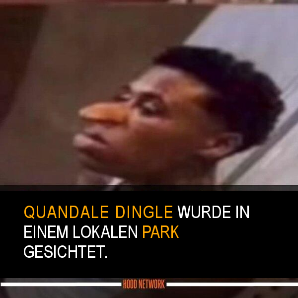 Quandale Dingle Meming Wiki