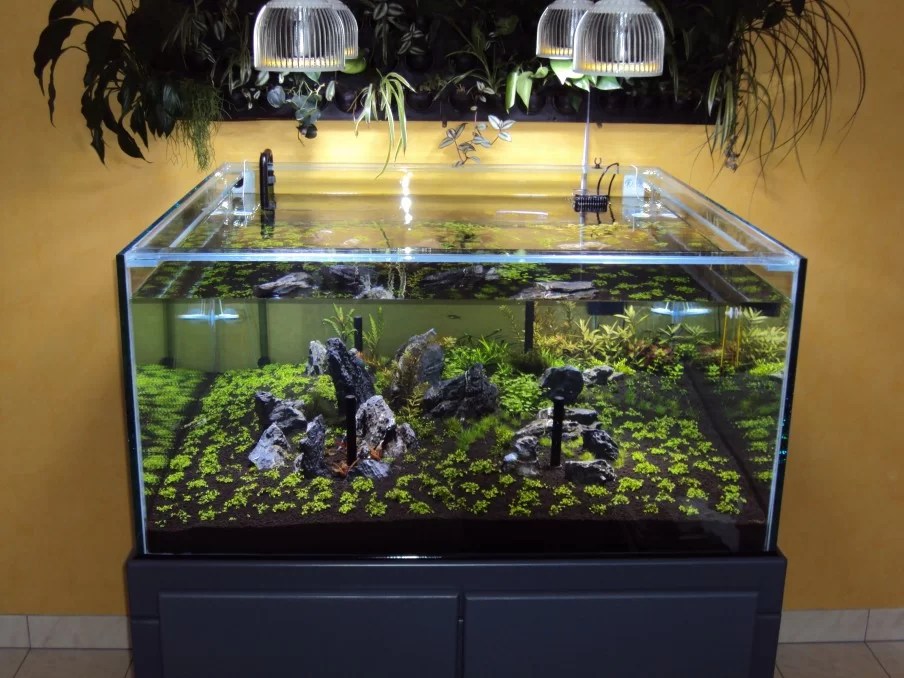 Orphek • PR72 Gepflanzt Aquarium LEDBeleuchtung