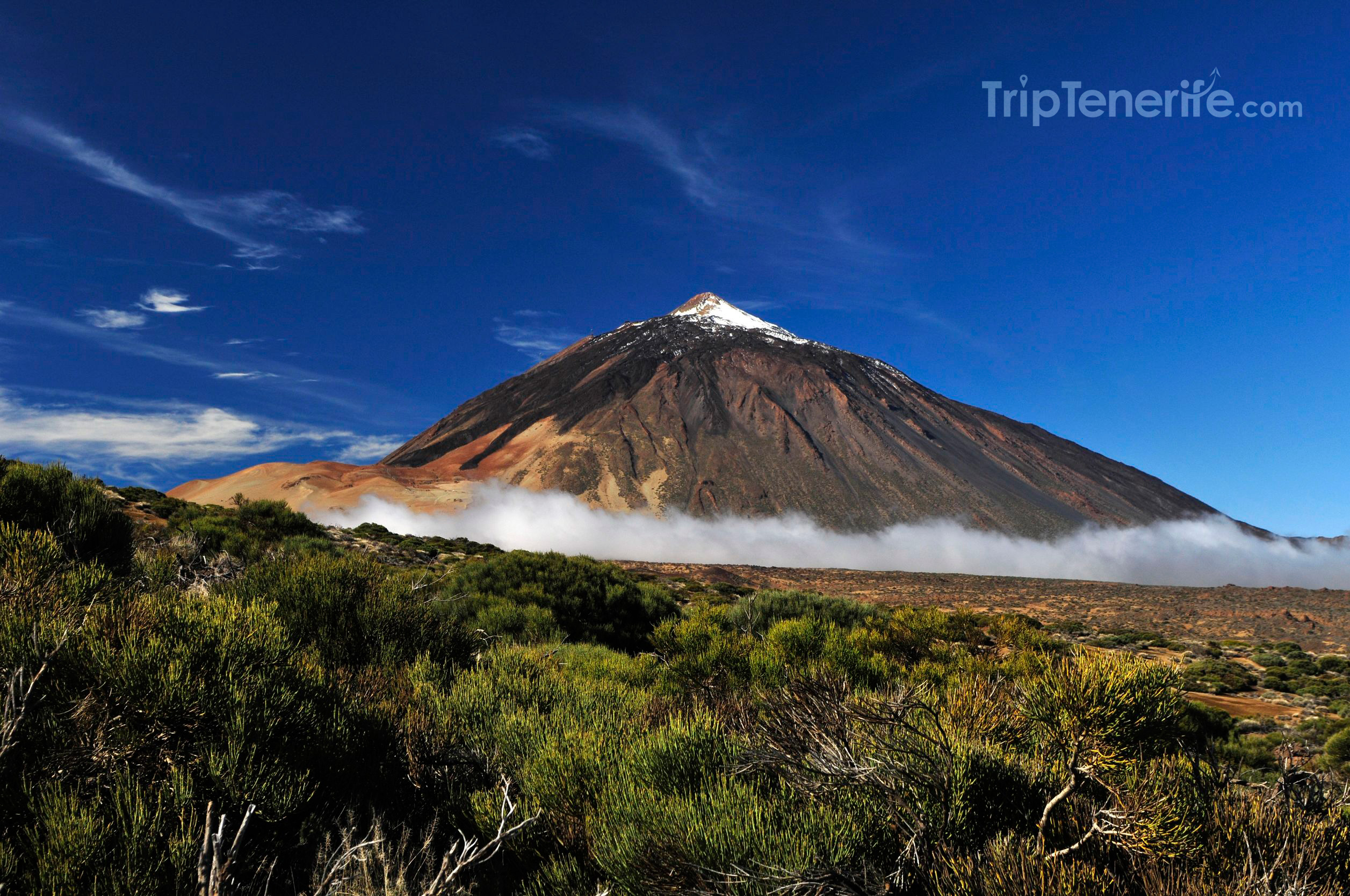 Ausflug zum Mount Teide Nationalpark auf Teneriffa