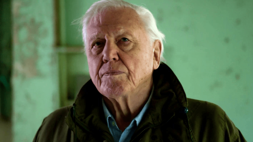 David Attenborough Mein Leben Auf Unserem David Attenborough