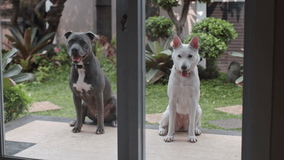 June und Kopi Trailer OmeU FILMSTARTS.de