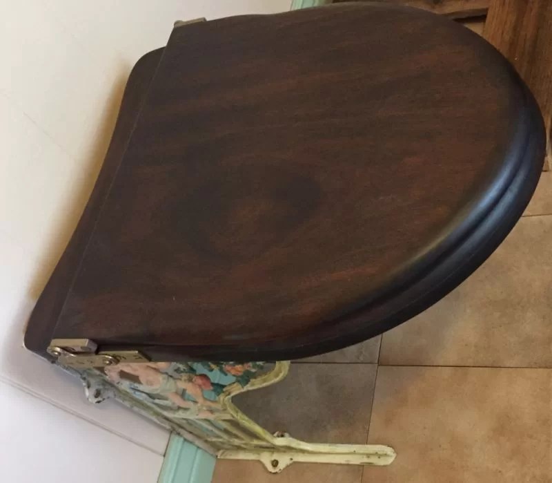 Circa 1880 Antique “Throne” Style Toilet Seat DEA Bathroom Machineries