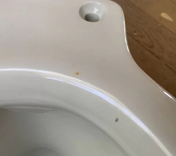 Antique 1898 Trenton Pottery High Tank Toilet Bowl DEA Bathroom