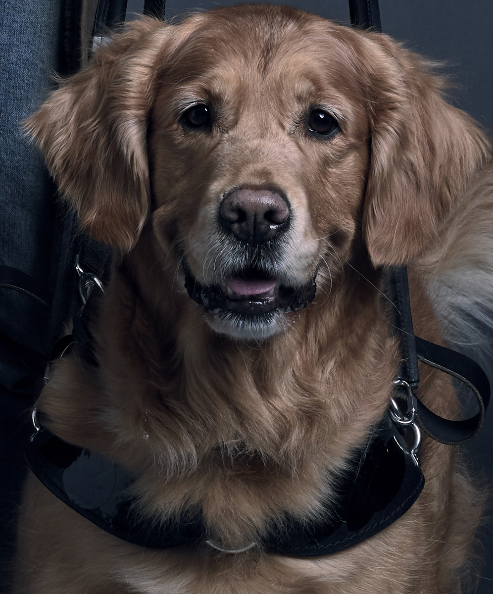 Fourlegged 'In the Dark' Star Won't Attend CW Upfront Because Of Visa