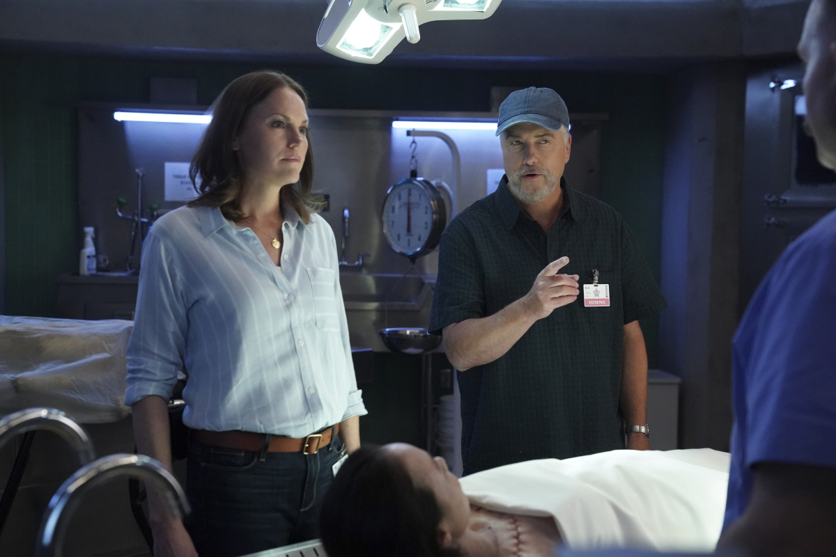 Csi Fall 2023 Csi: Vegas' Renewed For Season 2, But What About William Petersen & Jorja Fox? – Deadline
