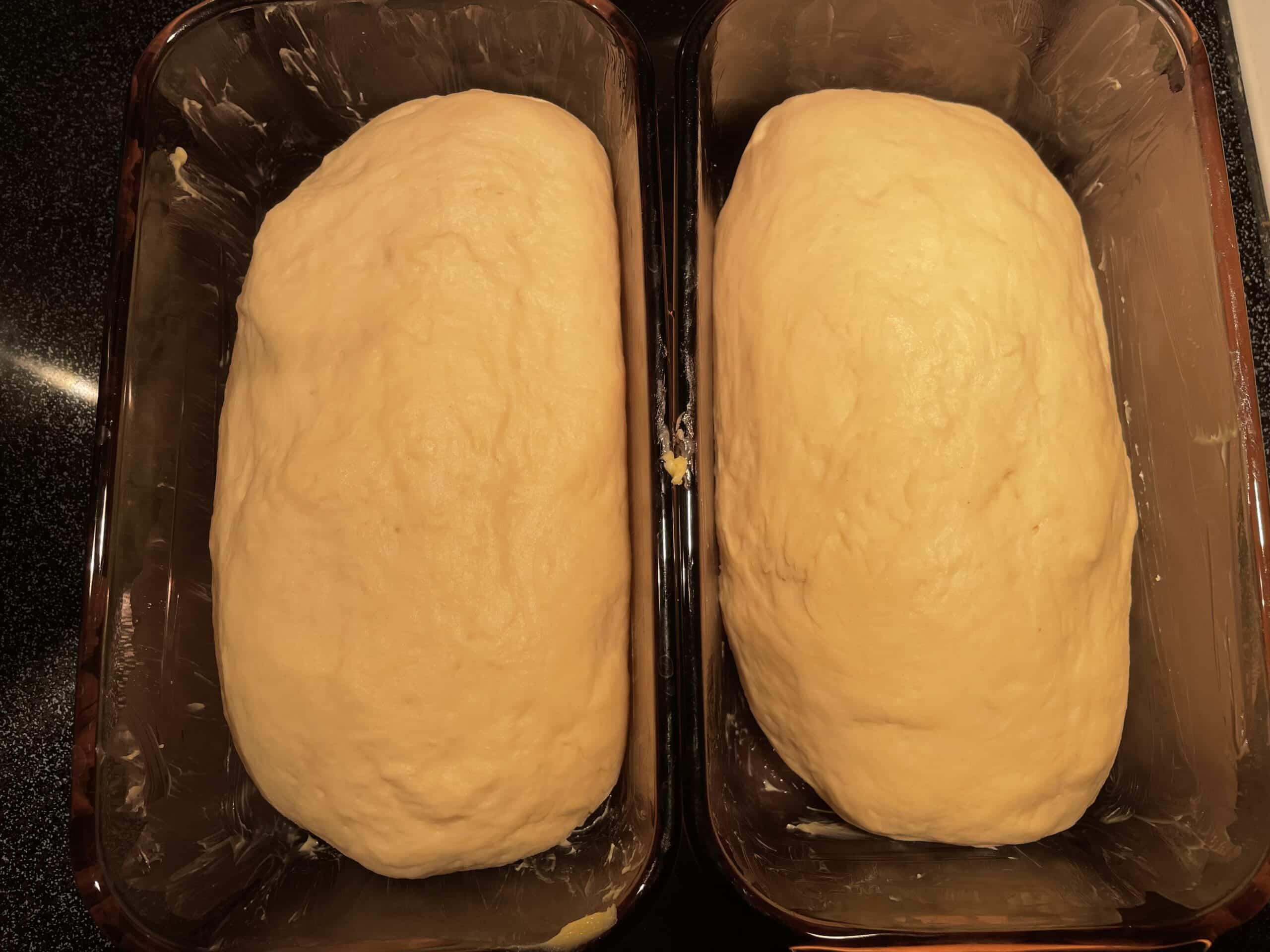 Food You Can Eat White Bread DeadSplinter