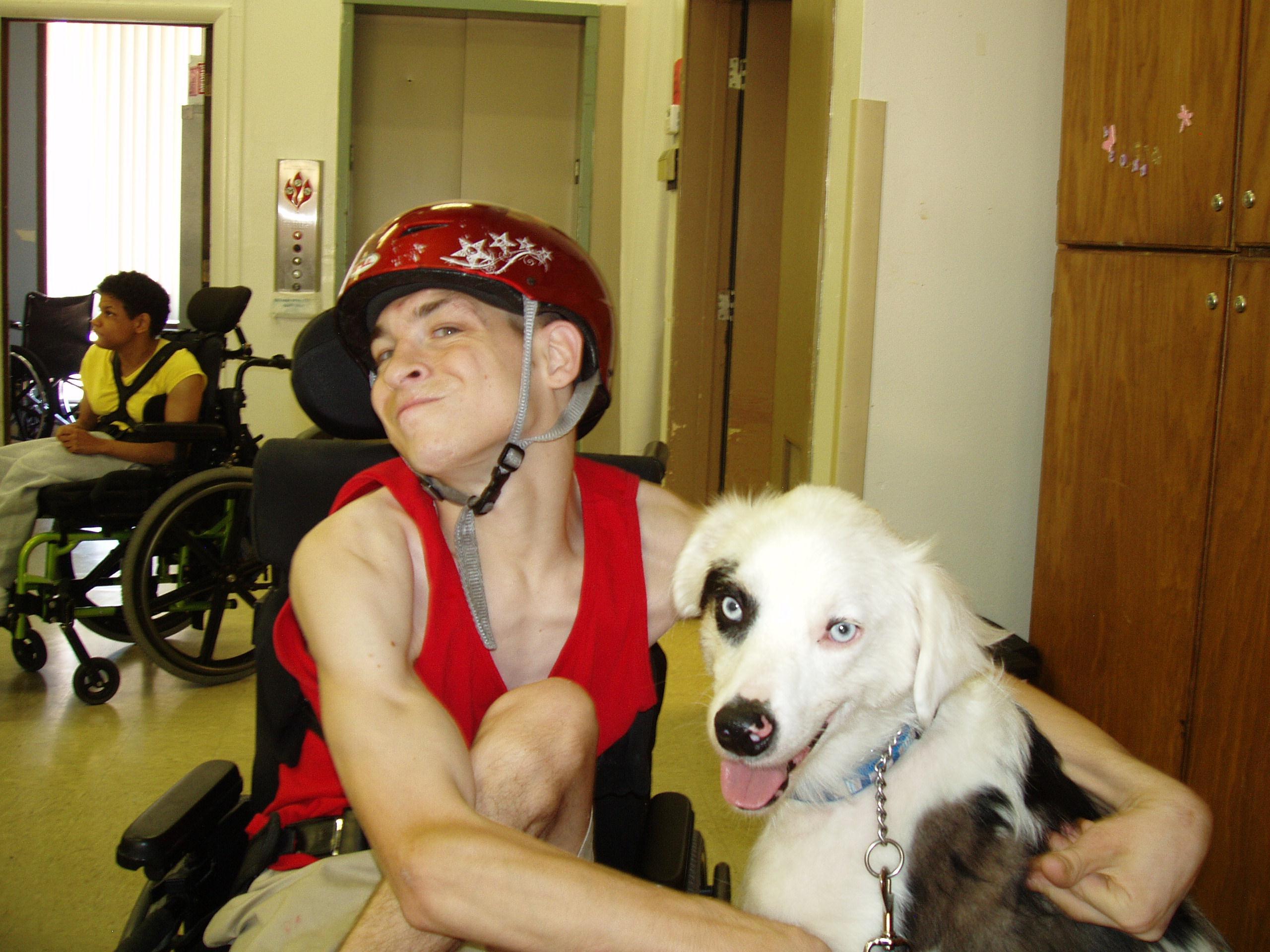 Deaf Therapy Dog Whiskey Deaf Dogs Rock