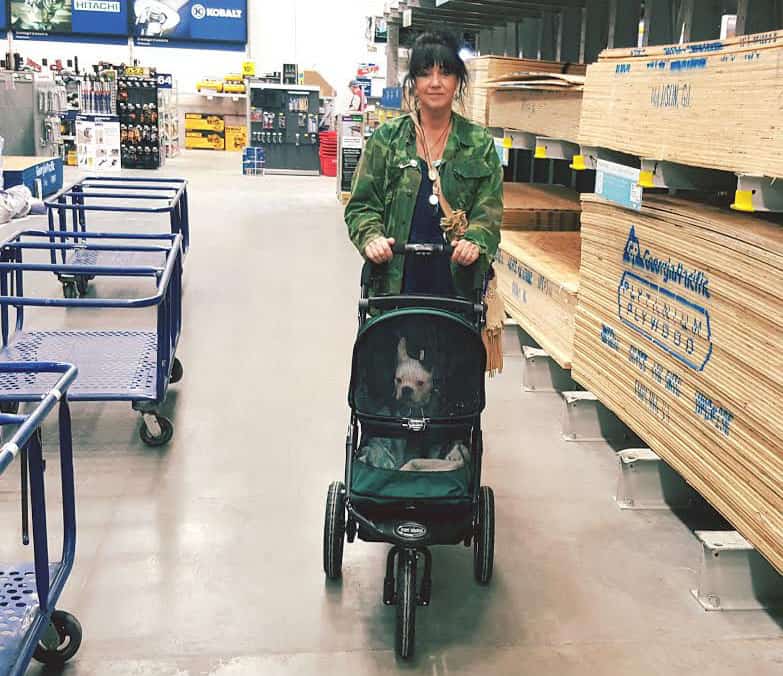 Pet Gear NoZip Jogger Pet Stroller Deaf Dogs Rock