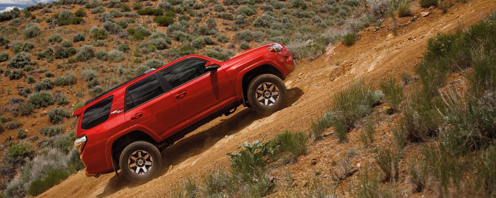 Total 85+ imagen lees summit toyota Thptnganamst.edu.vn