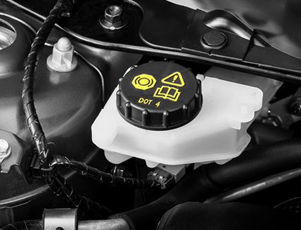 How To Check The Fluid Levels in Your VW | Carter Volkswagen, Ballard