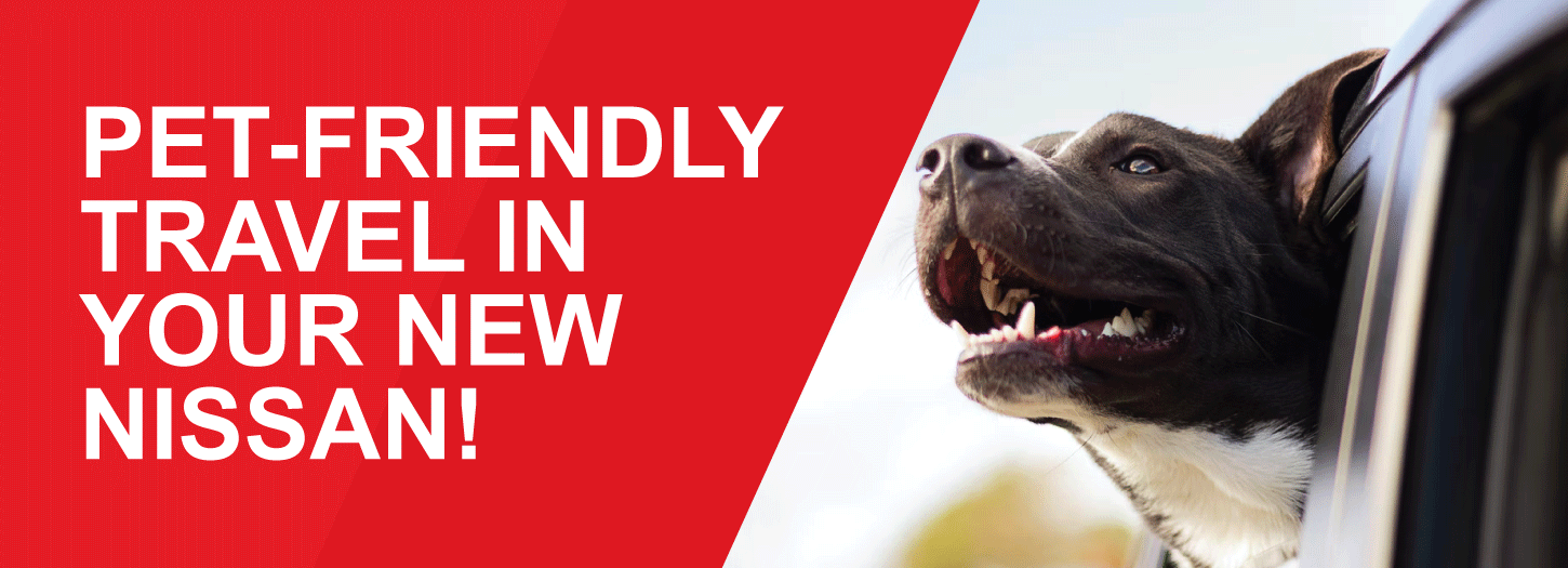 Bellevue Nissan is a Bellevue Nissan dealer and a new car and used car