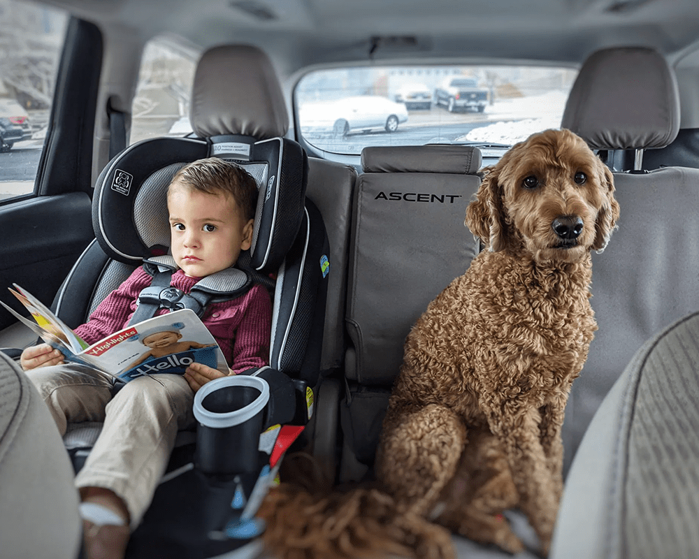 Learn about 100+ imagen florida car seat laws rear facing In