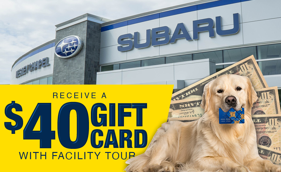 Brand New Subaru of Wesley Chapel Facility Subaru of Wesley Chapel