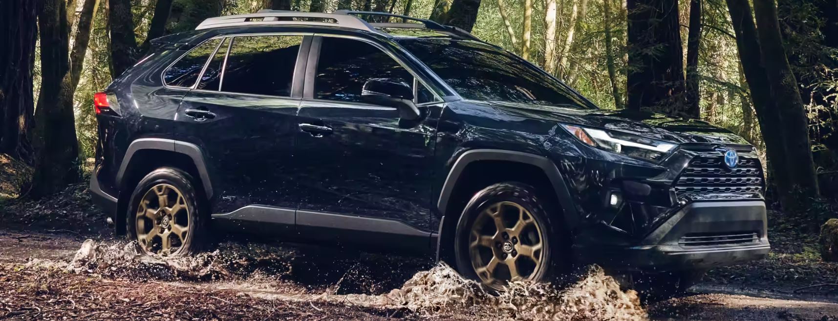 2023 Toyota RAV4 Hybrid for Sale near Des Moines, IA Wilson Toyota of