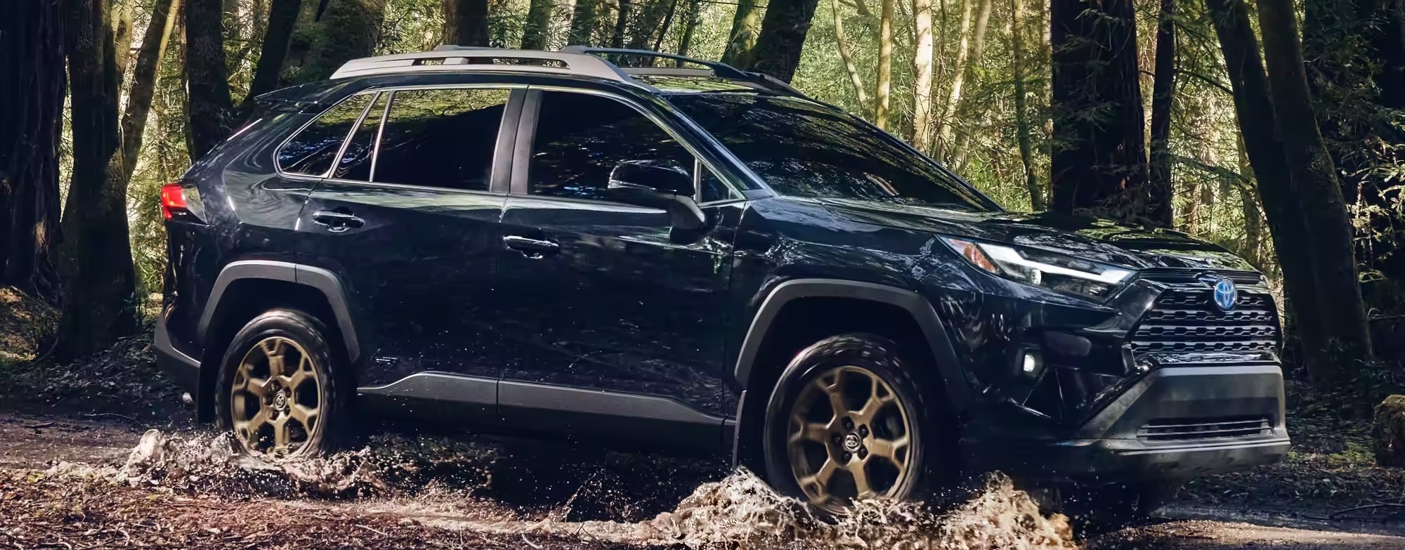 2024 Toyota RAV4 Hybrid for Sale near Arnold, MO Weiss Toyota Of