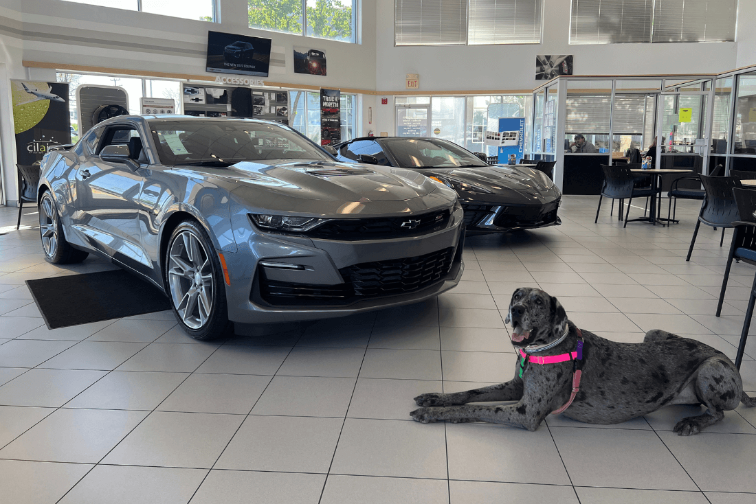 Chevrolet Dealer Arlington, VA Pohanka Chevrolet