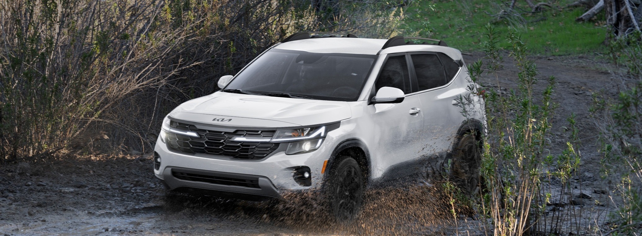2024 Kia Seltos for Sale near Blue Springs, MO Cable Dahmer Kia
