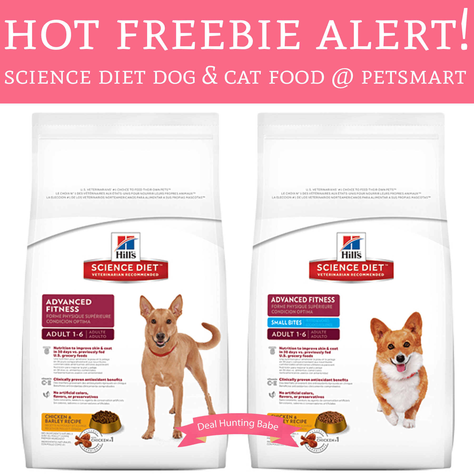 Hot! Free Bag of Science Diet Dog and Cat Food Petsmart Deal