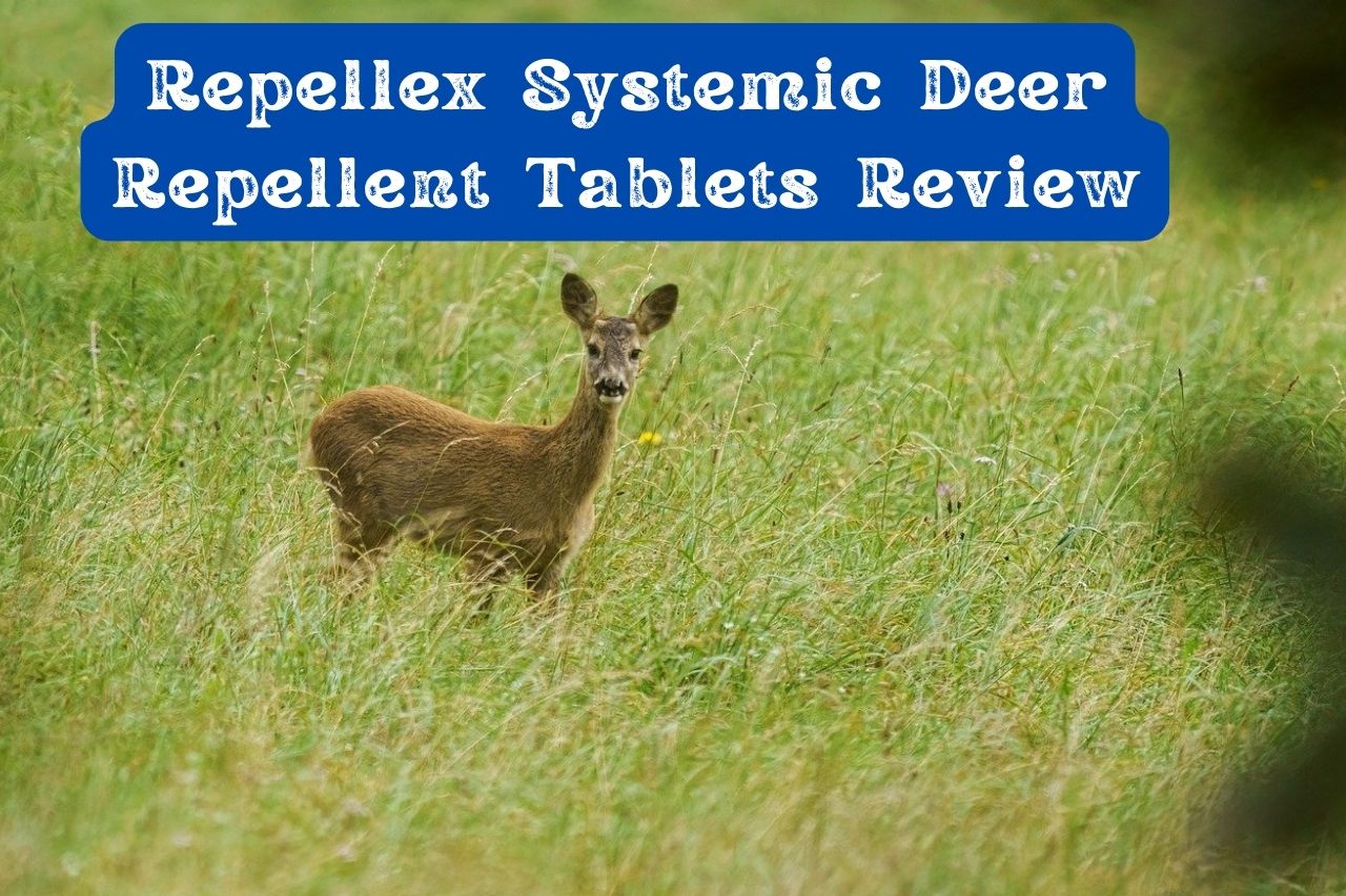 Repellex Systemic Deer Repellent Tablets Review A Unique Way to Repel