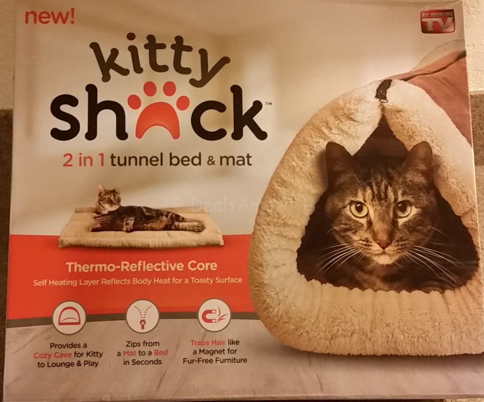 Kitty Shack Review