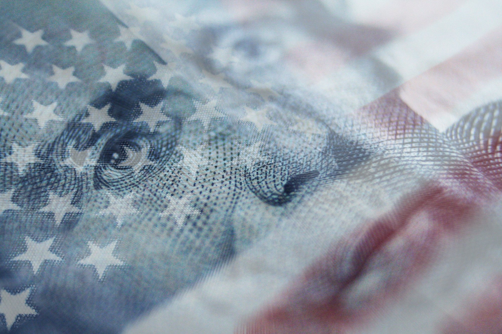 VA Business Loans A Guide for Aspiring Veteran Entrepreneurs dealstruck