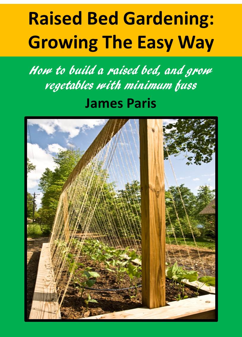 RaisedBedgardening.jpg Deanburn Publications
